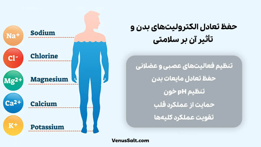 تعادل الکترولیت های بدن